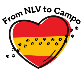 fromnlvtocampo.com